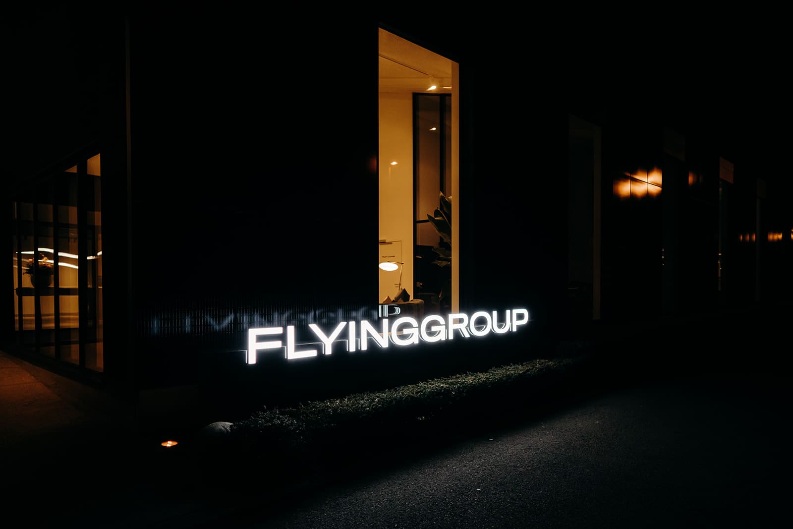 Flying group
